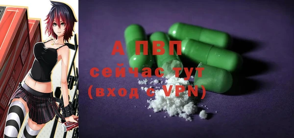 эйфоретик Арсеньев