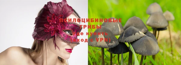 эйфоретик Арсеньев