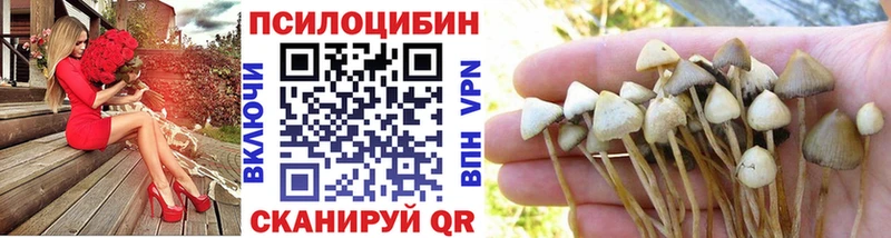 Псилоцибиновые грибы ЛСД  Артёмовский 